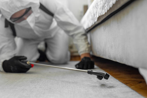 Professional Bed Bug Control technician working in Silver Bay, MN