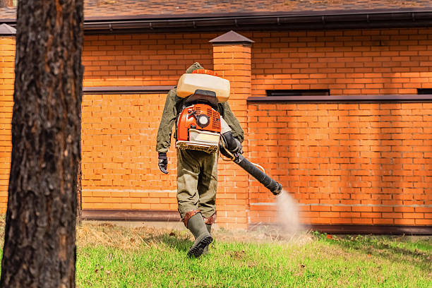 Trusted Rodent Control service in Silver Bay, MN - Nex Pest Control